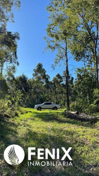 TF513 - TERRENO EN VENTA ESTANCIA ''LA NEGRA'' — foto 5