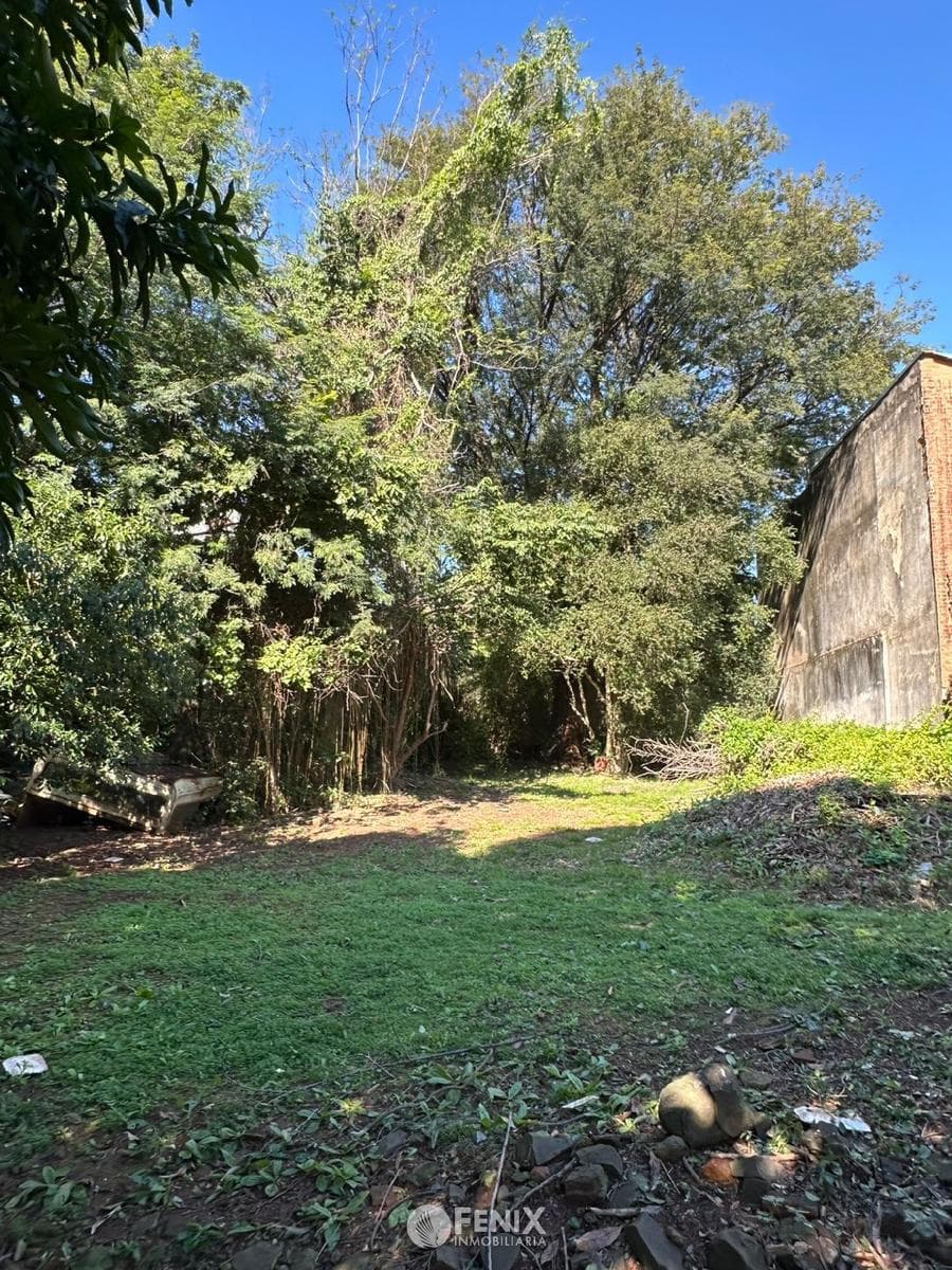 TF594 - TERRENO EN VENTA Z/ CALLES BERON DE ASTRADA CASI BEETHOVEN — foto 2