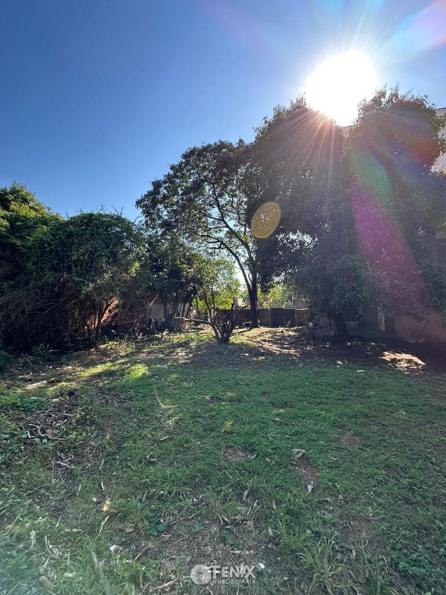 TF594 - TERRENO EN VENTA Z/ CALLES BERON DE ASTRADA CASI BEETHOVEN — foto 3