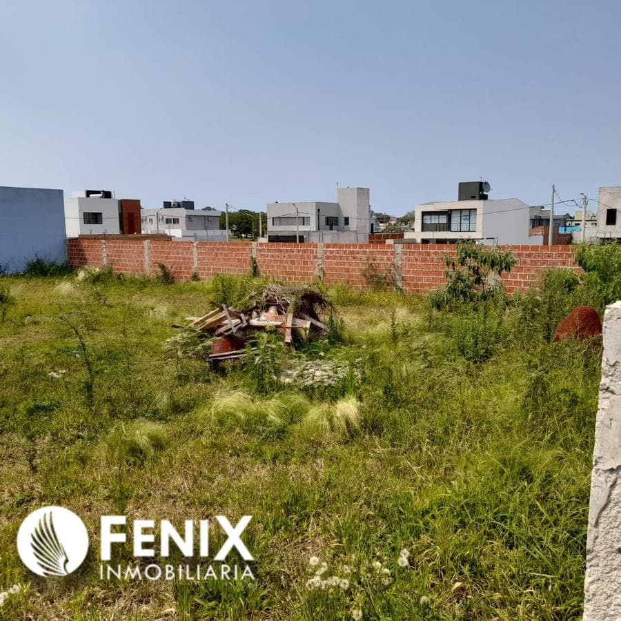 TF405 - z/ AGUADO Y ALTE. BROWN — foto 4