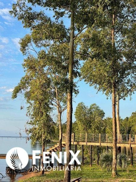 TF513 - TERRENO EN VENTA ESTANCIA ''LA NEGRA'' — foto 4