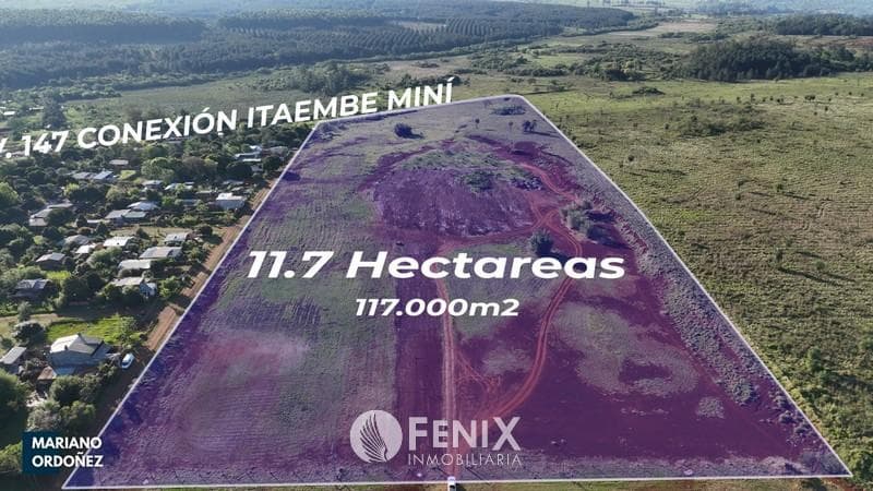 TF726 - TERRENO DE 11, 7Ha EN VENTA Z/ RUTA 213 — foto 4