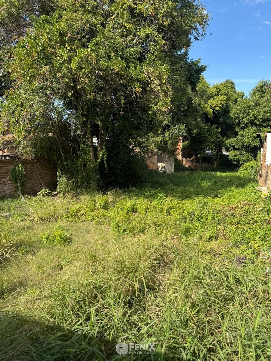 TF787 - TERRENO EN VENTA - AV. LOPEZ TORRES Y CMTE. ROSALES — foto 5