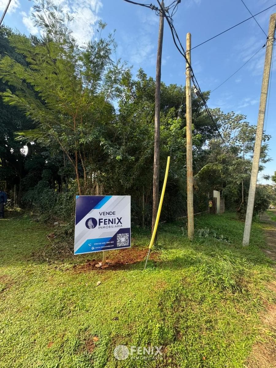 TF788 - LOTES EN VENTA - AV. LAS HERAS Y 20 DE JUNIO — foto 4