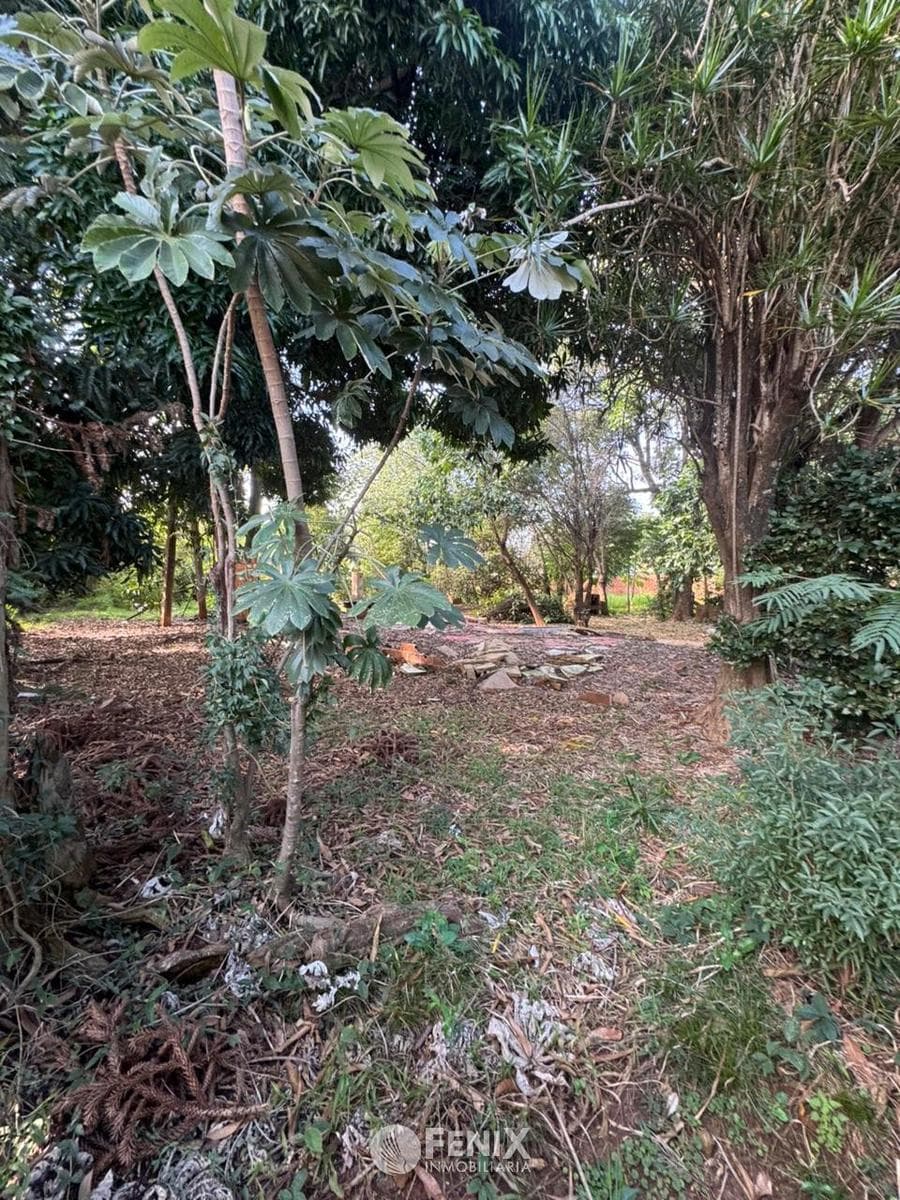 TF788 - LOTES EN VENTA - AV. LAS HERAS Y 20 DE JUNIO — foto 2