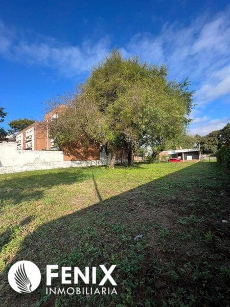 TF528 - TERRENO EN VENTA Z/ AV. JAURETCHE Y CALLE 22 — foto 3