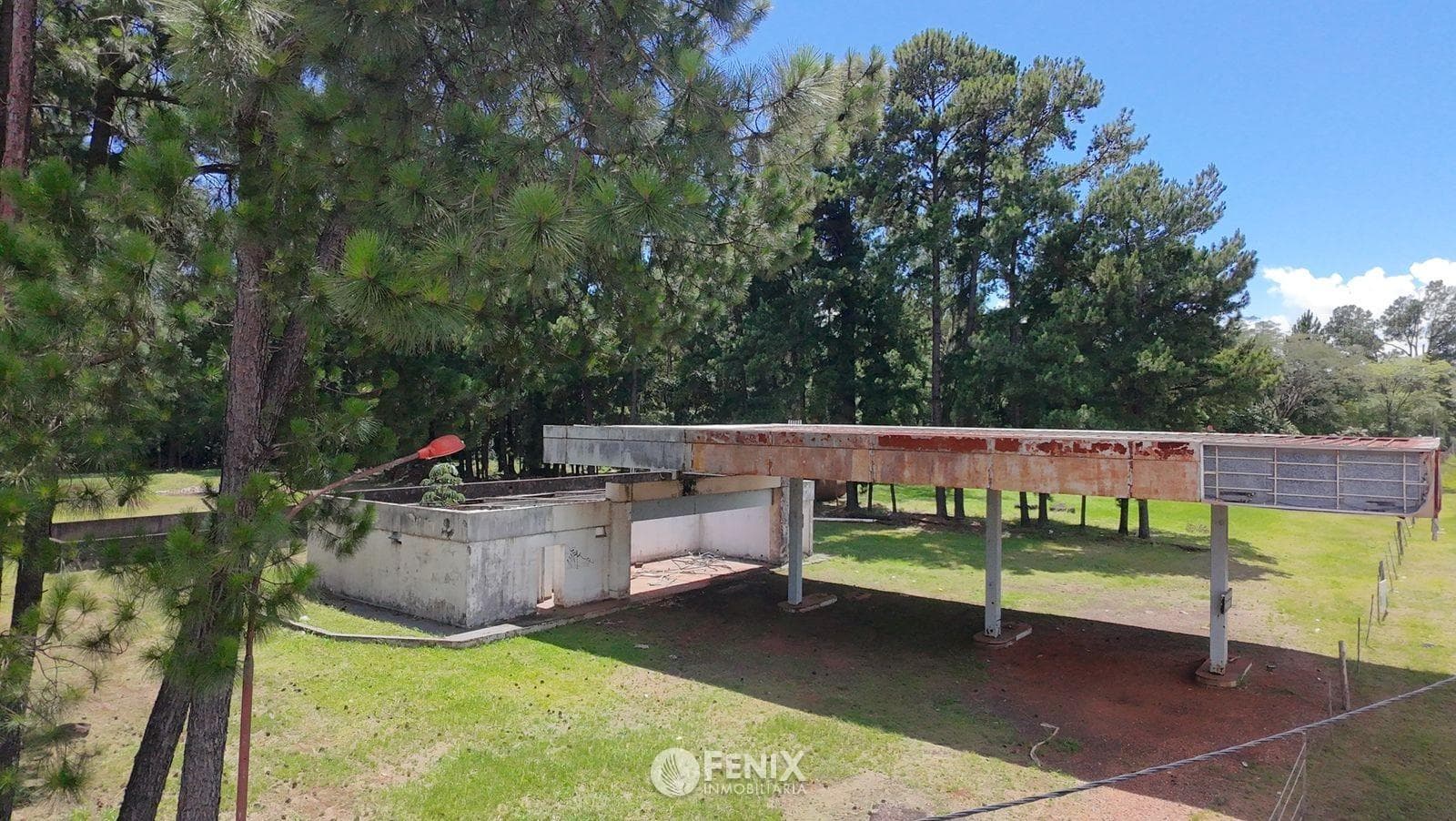 TF830 - TERRENO DE 2 HECTÁREAS EN VENTA - RUTA 12 — foto 3