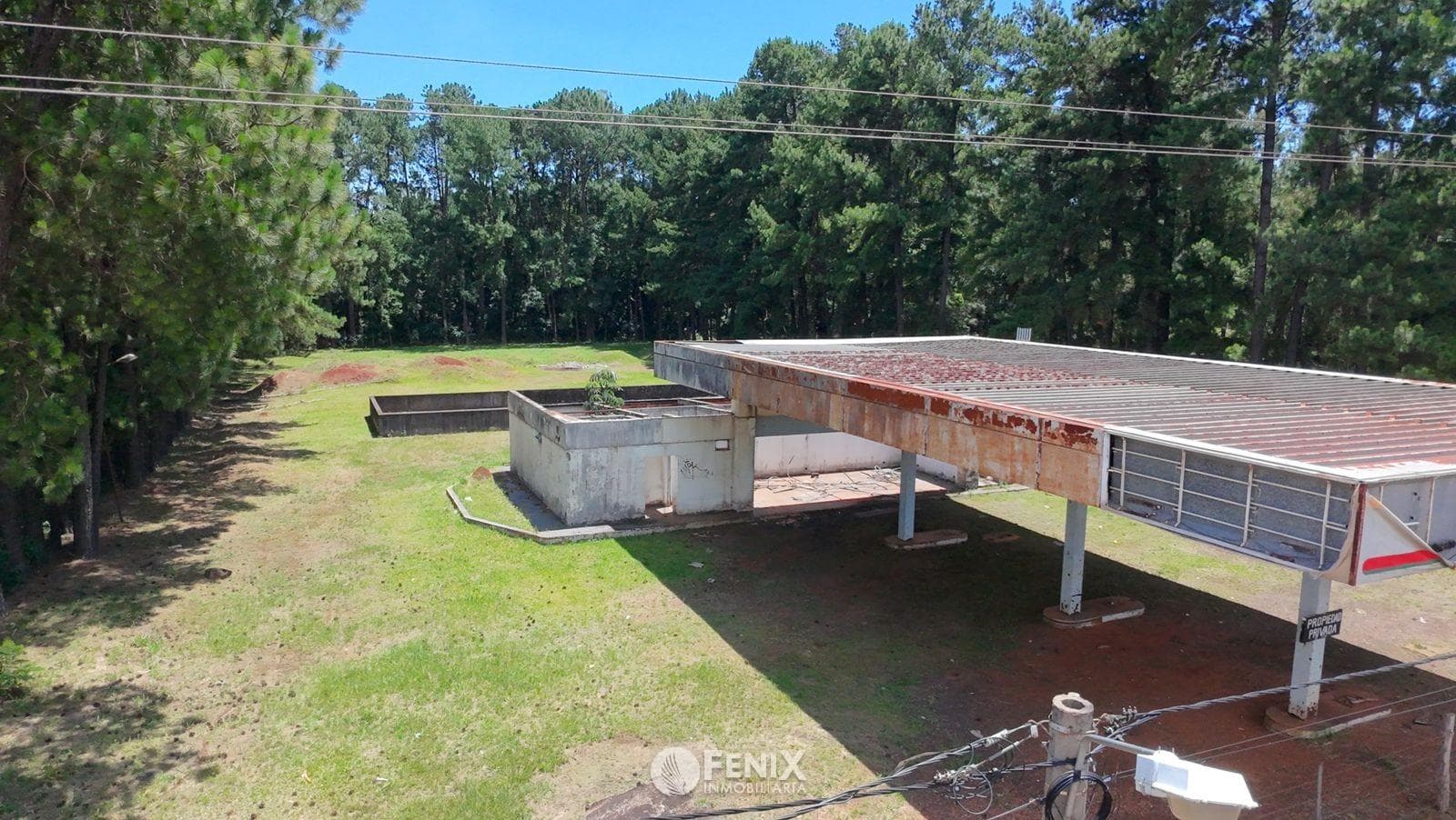 TF830 - TERRENO DE 2 HECTÁREAS EN VENTA - RUTA 12 — foto 2