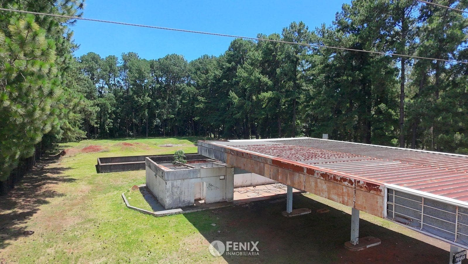 TF830 - TERRENO DE 2 HECTÁREAS EN VENTA - RUTA 12 — foto 5