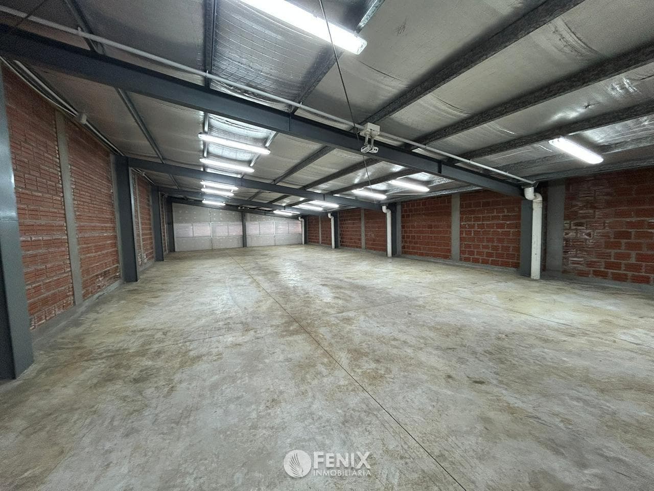 LCF V151 - LOCAL COMERCIAL - 3 PLANTAS - AV. FCO DE HARO Y RUTA 12 — foto 5
